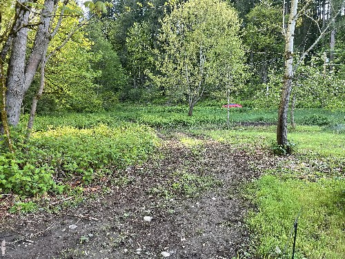 Brush Cutting/Mulching