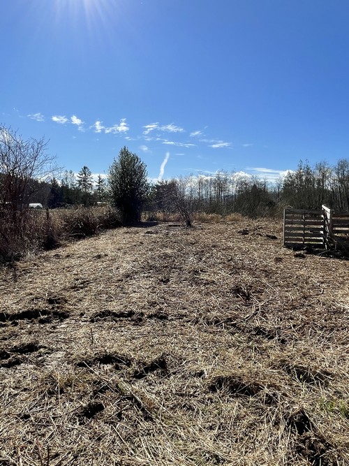 Brush Cutting/Mulching