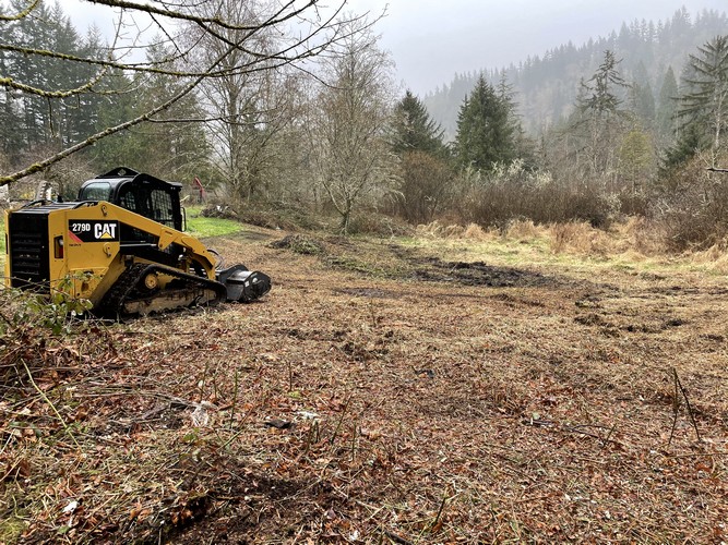 Brush Cutting/Mulching