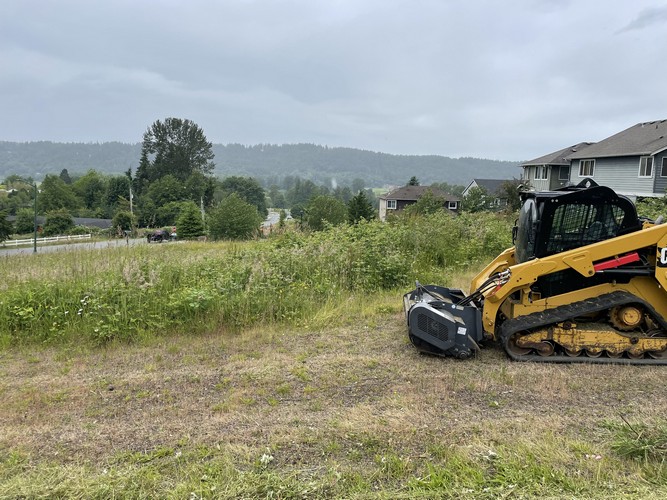 Brush Cutting/Mulching