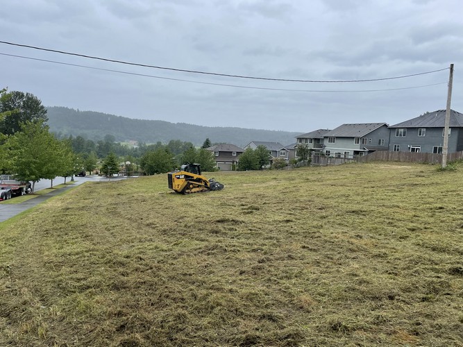 Brush Cutting/Mulching