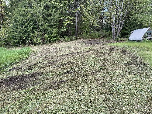 Brush Cutting/Mulching