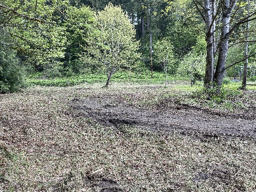 Brush Cutting/Mulching