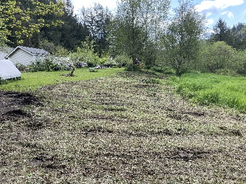 Brush Cutting/Mulching