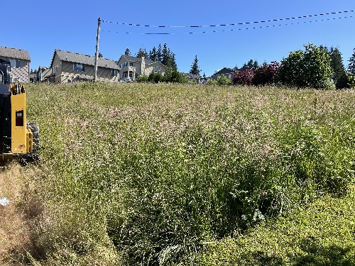 Brush Cutting/Mulching