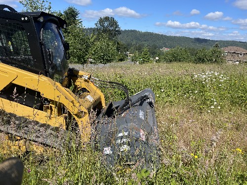 Brush Cutting/Mulching