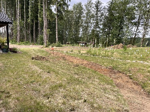 Land Clearing/Grading