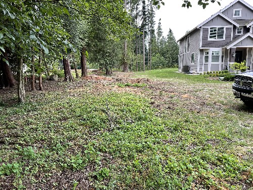 Land Clearing/Grading