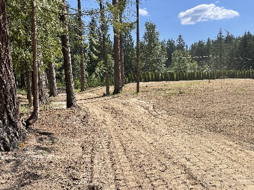 Land Clearing/Grading