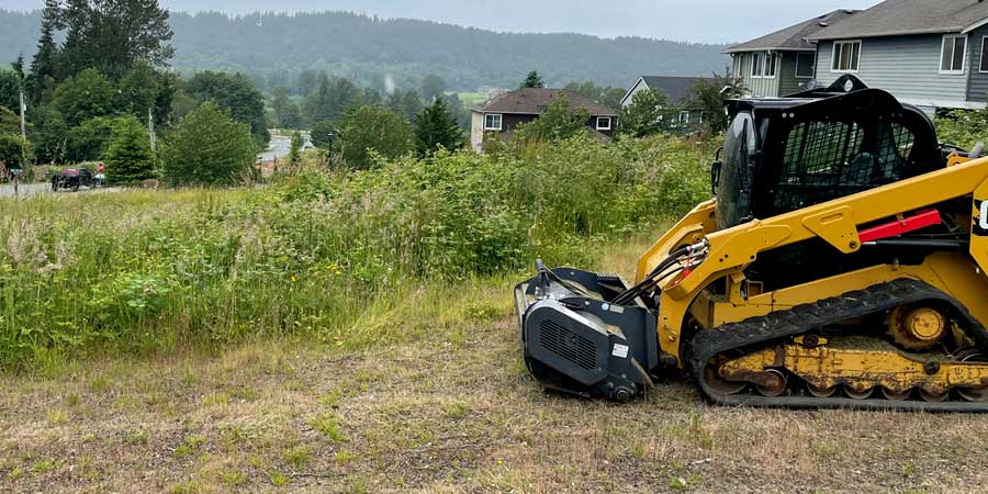 Brush Cutting/Mulching